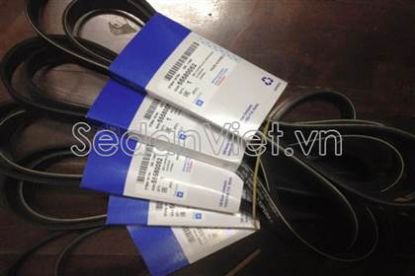 Picture of Dây curoa tổng 6PK1555 - 1.6-55580052