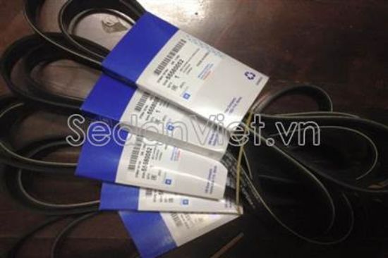 Picture of Dây curoa tổng 6PK1555 - 1.6-55580052