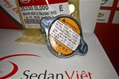 Picture of Nắp két nước-253300L000